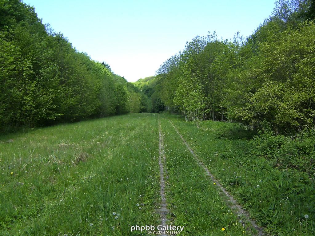 Ifta Fuest Luederbach 40  23052010