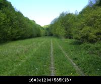 Ifta Fuest Luederbach 40  23052010