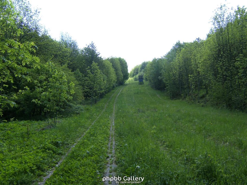 Ifta Fuest Luederbach 41  23052010