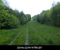 Ifta Fuest Luederbach 41  23052010