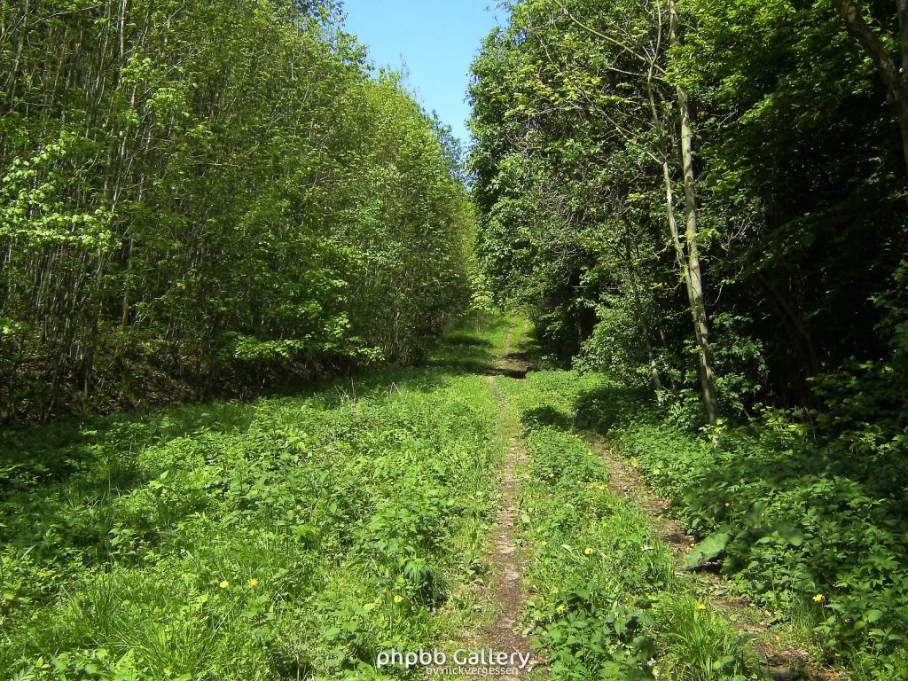 Ifta Fuest Luederbach 42  23052010