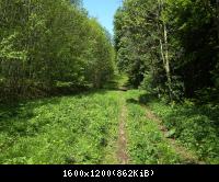 Ifta Fuest Luederbach 42  23052010