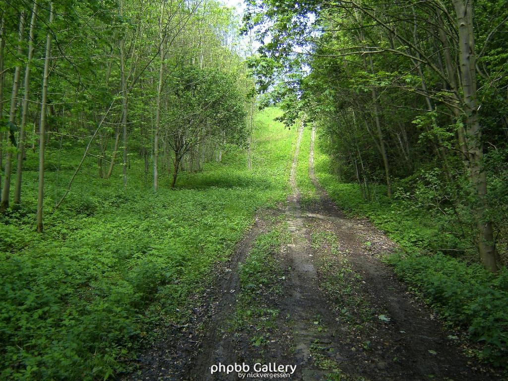 Ifta Fuest Luederbach 43  23052010