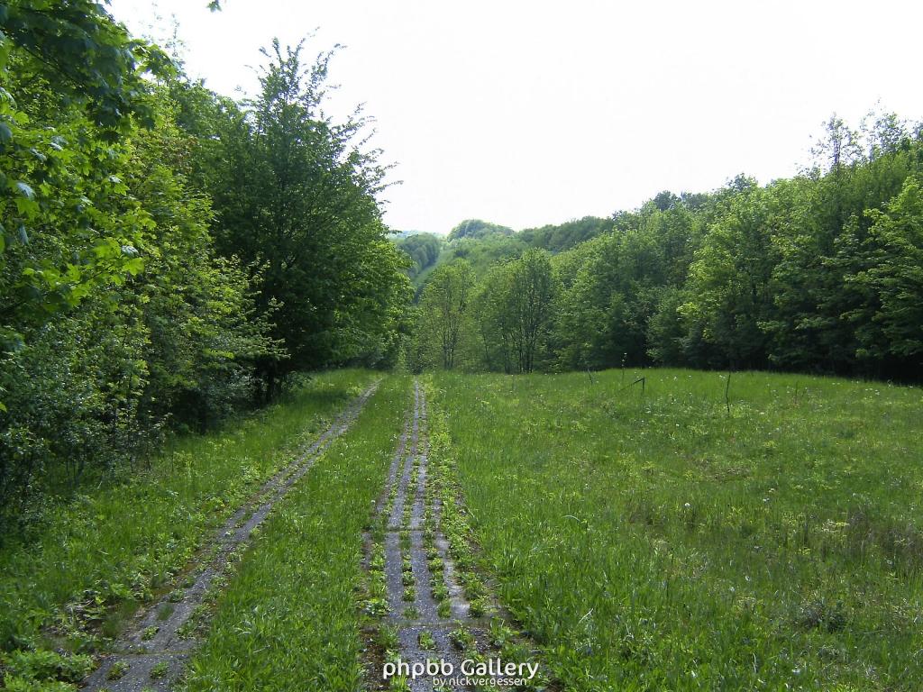 Ifta Fuest Luederbach 44  23052010