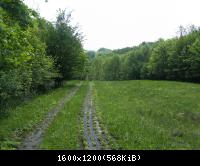 Ifta Fuest Luederbach 44  23052010