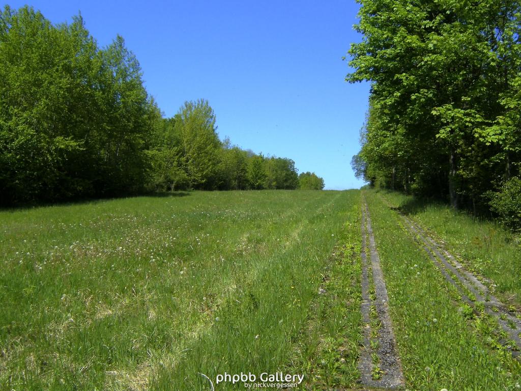 Ifta Fuest Luederbach 45  23052010