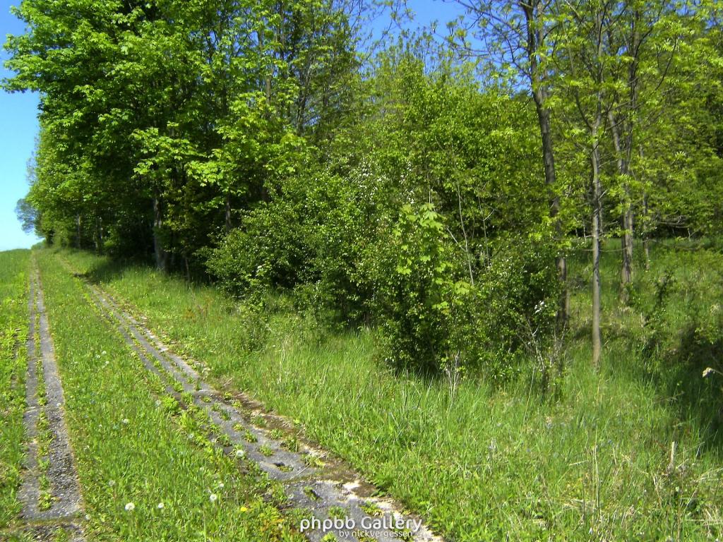 Ifta Fuest Luederbach 46  23052010