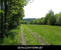 Ifta Fuest Luederbach 47  23052010