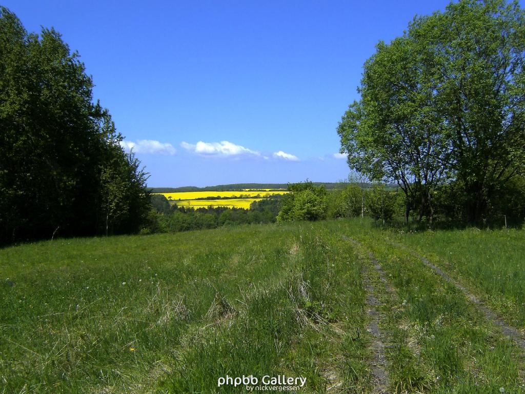 Ifta Fuest Luederbach 48  23052010