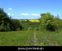 Ifta Fuest Luederbach 49  23052010