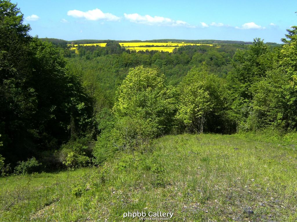 Ifta Fuest Luederbach 51  23052010