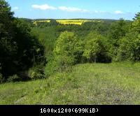 Ifta Fuest Luederbach 51  23052010