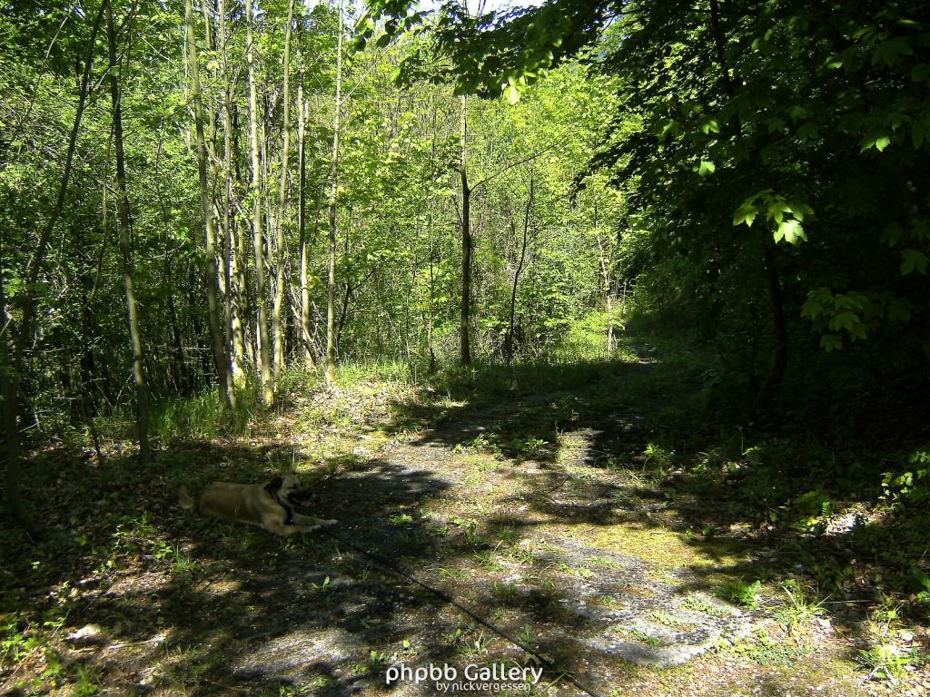 Ifta Fuest Luederbach 52  23052010