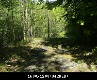 Ifta Fuest Luederbach 52  23052010