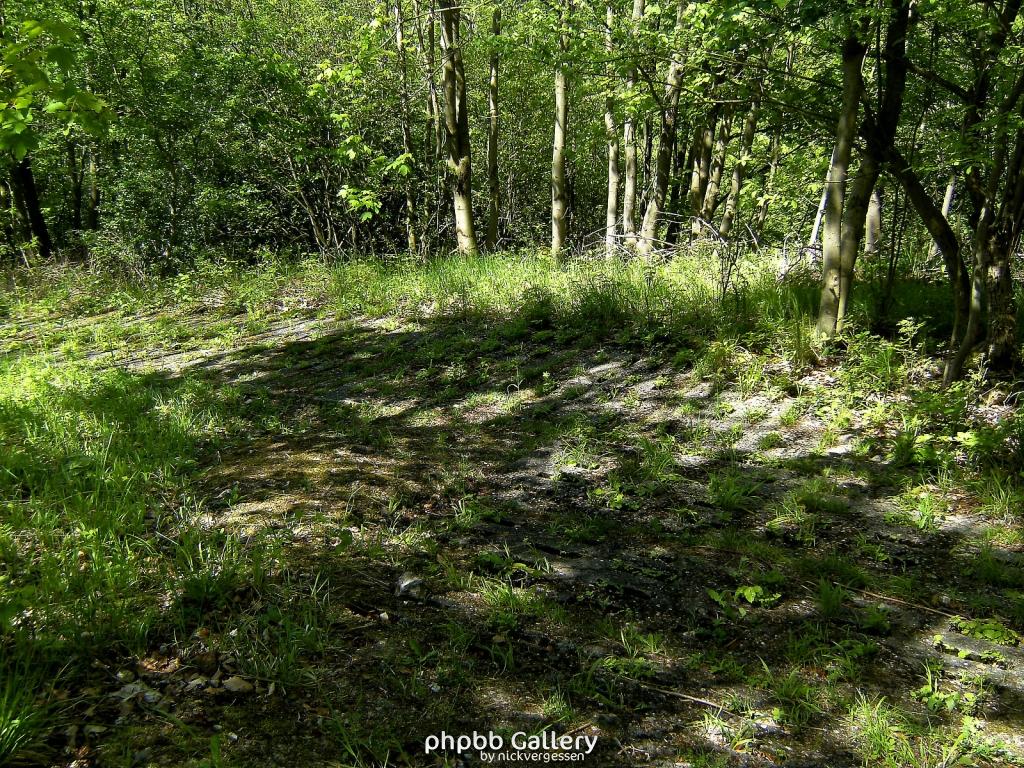 Ifta Fuest Luederbach 54  23052010