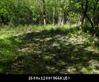 Ifta Fuest Luederbach 54  23052010