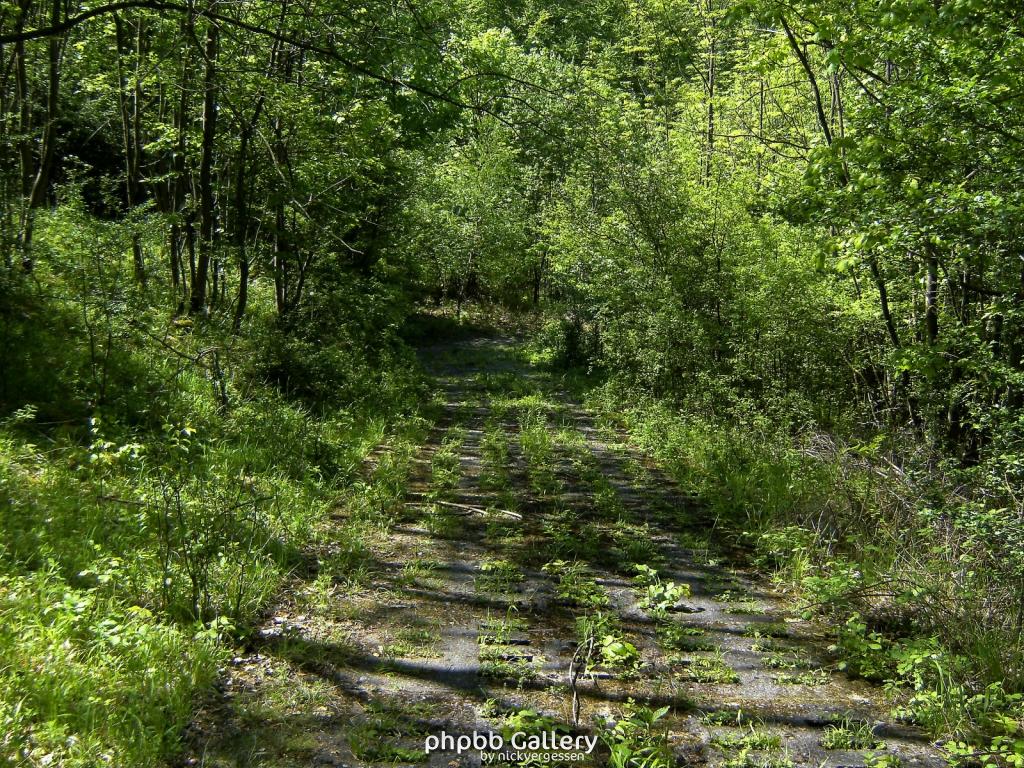 Ifta Fuest Luederbach 55  23052010