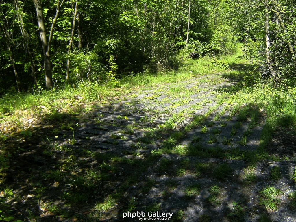 Ifta Fuest Luederbach 56  23052010