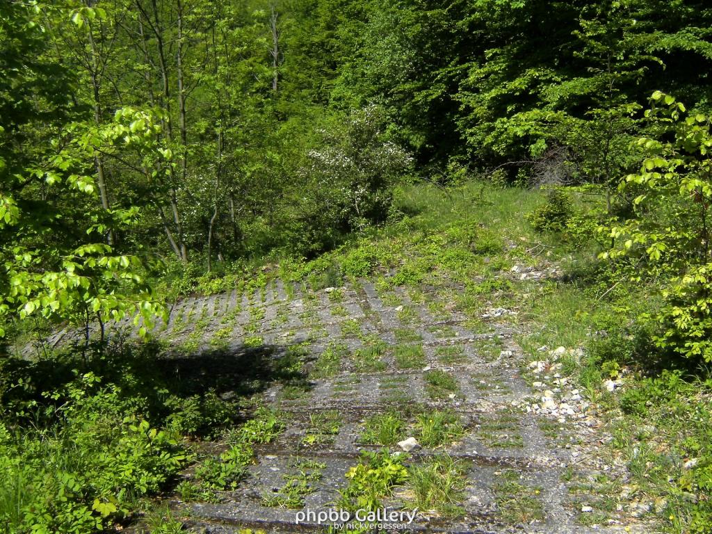 Ifta Fuest Luederbach 57  23052010