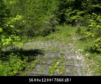 Ifta Fuest Luederbach 57  23052010