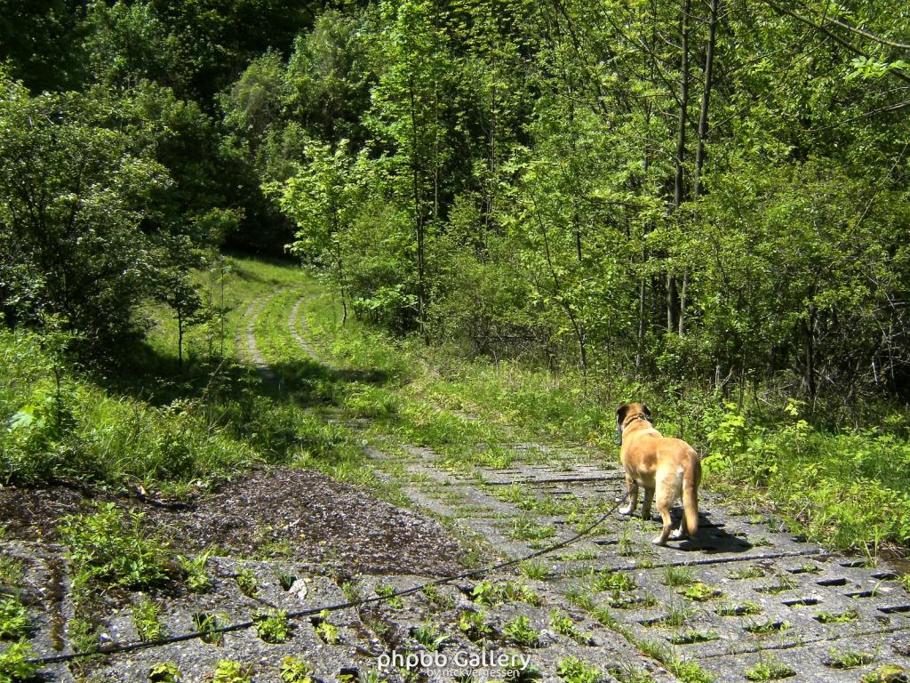 Ifta Fuest Luederbach 58  23052010