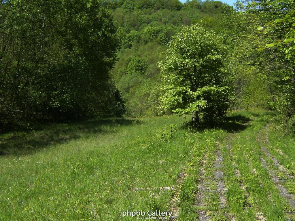 Ifta Fuest Luederbach 59  23052010