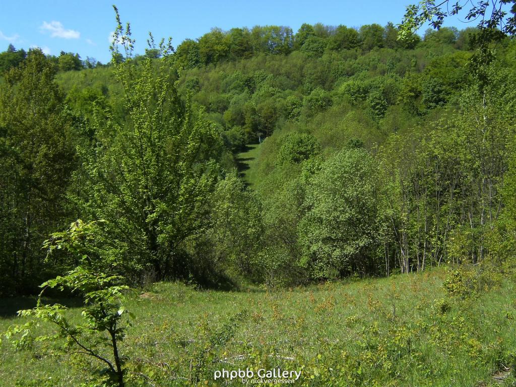 Ifta Fuest Luederbach 60  23052010