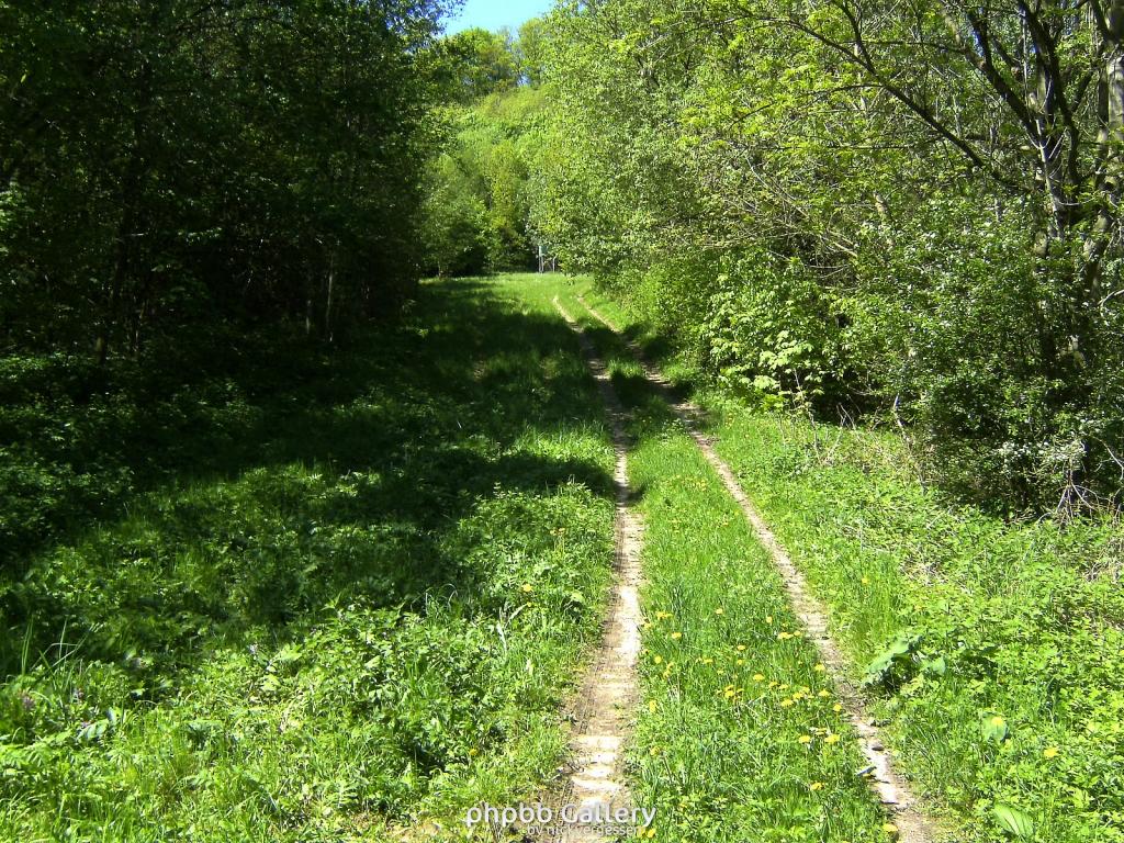 Ifta Fuest Luederbach 61  23052010