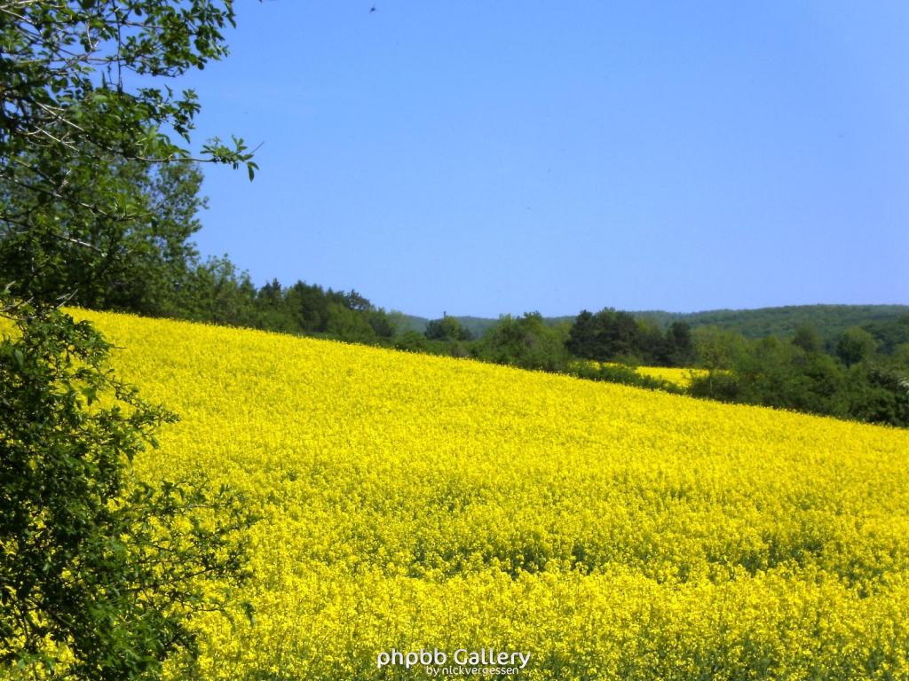 Ifta Fuest Luederbach 62  23052010