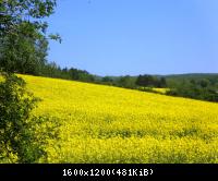 Ifta Fuest Luederbach 62  23052010