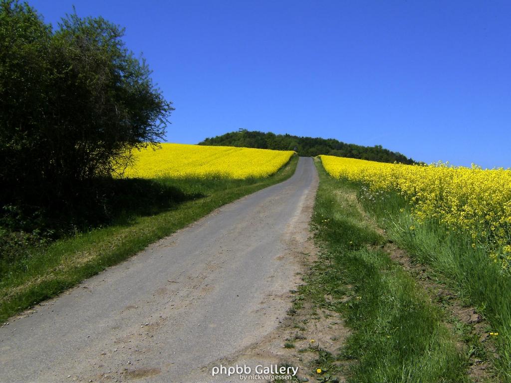 Ifta Fuest Luederbach 63  23052010