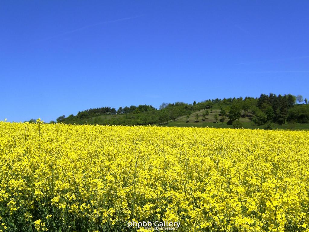 Ifta Fuest Luederbach 64  23052010