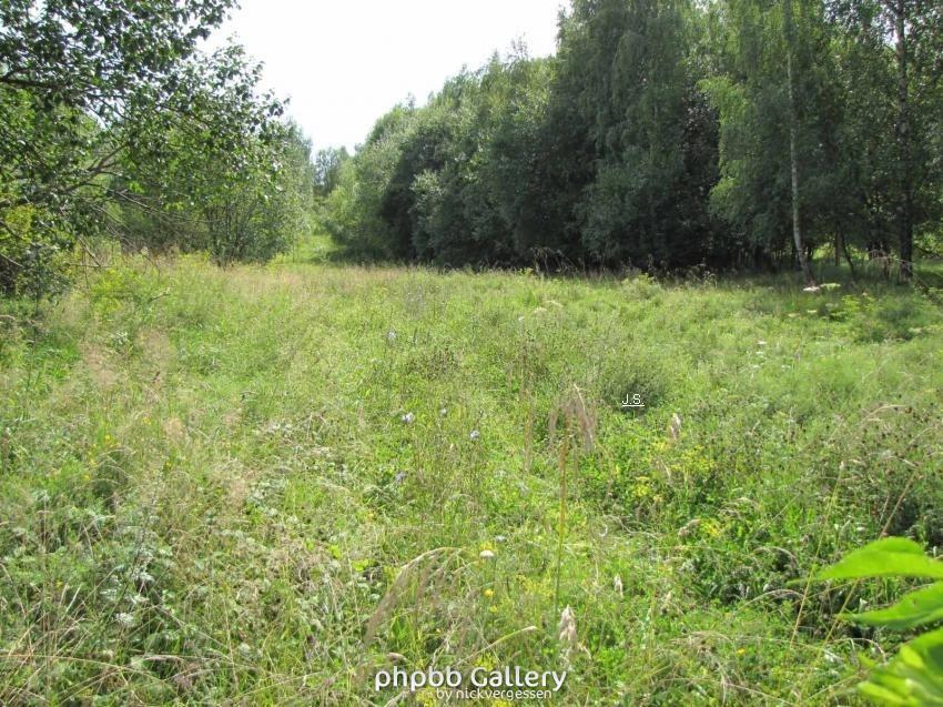 Ehm.Grenze Ellrich-Walkenried-Harz (5)