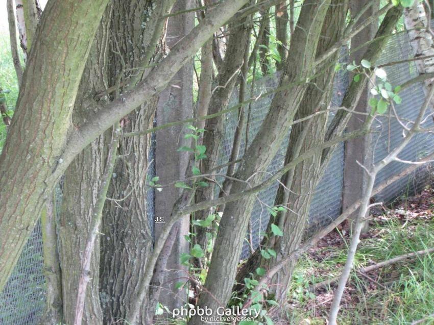 Ehm.Grenze Ellrich-Walkenried-Harz (6)