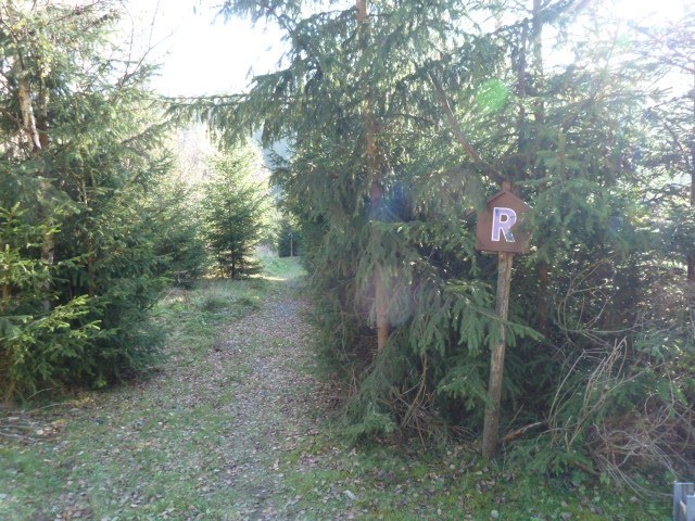 Postenweg Rennsteig
