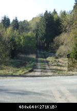 Postenweg Rennsteig.JPG 2