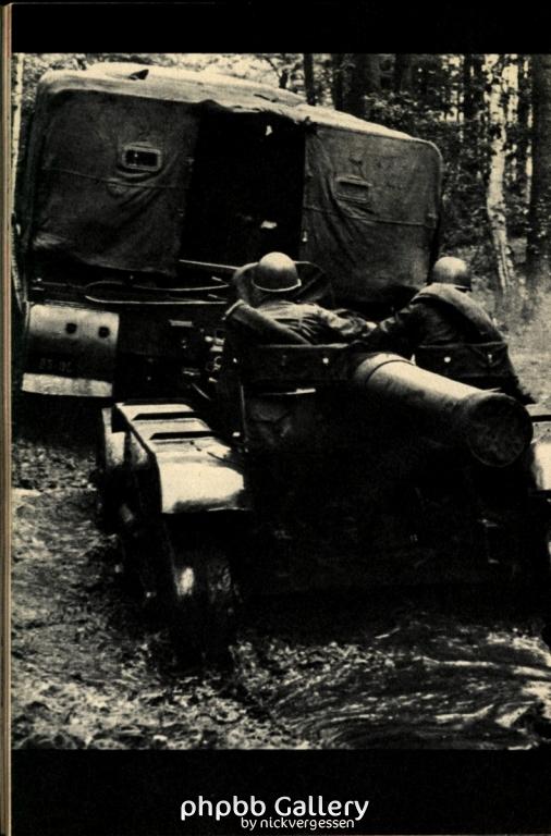 66