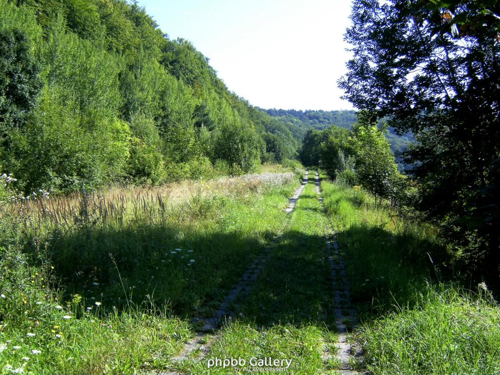 Kella Volkerode 21  230809