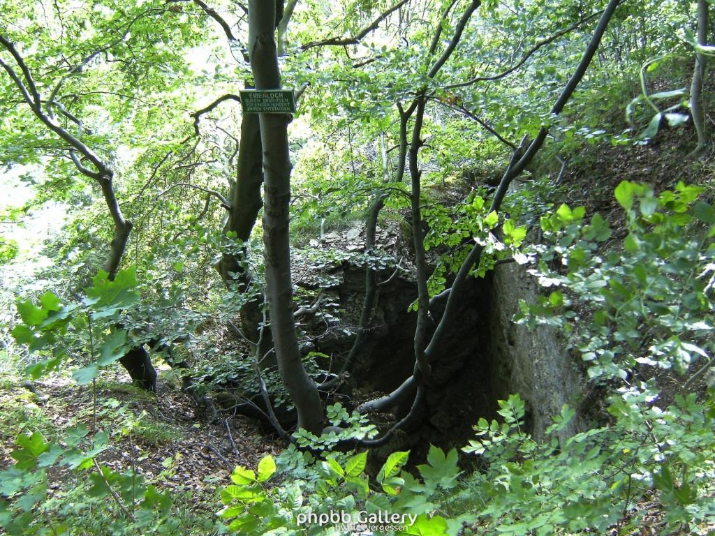 Kella Volkerode 82  230809