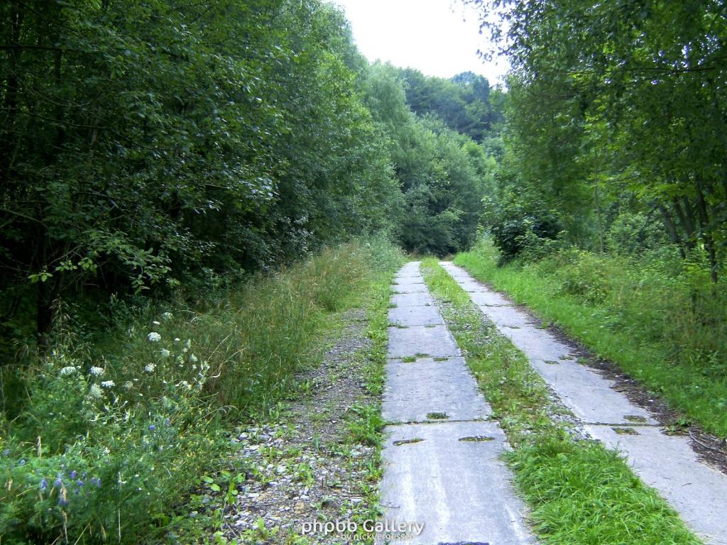 Kella Hitzelrode 09  090809