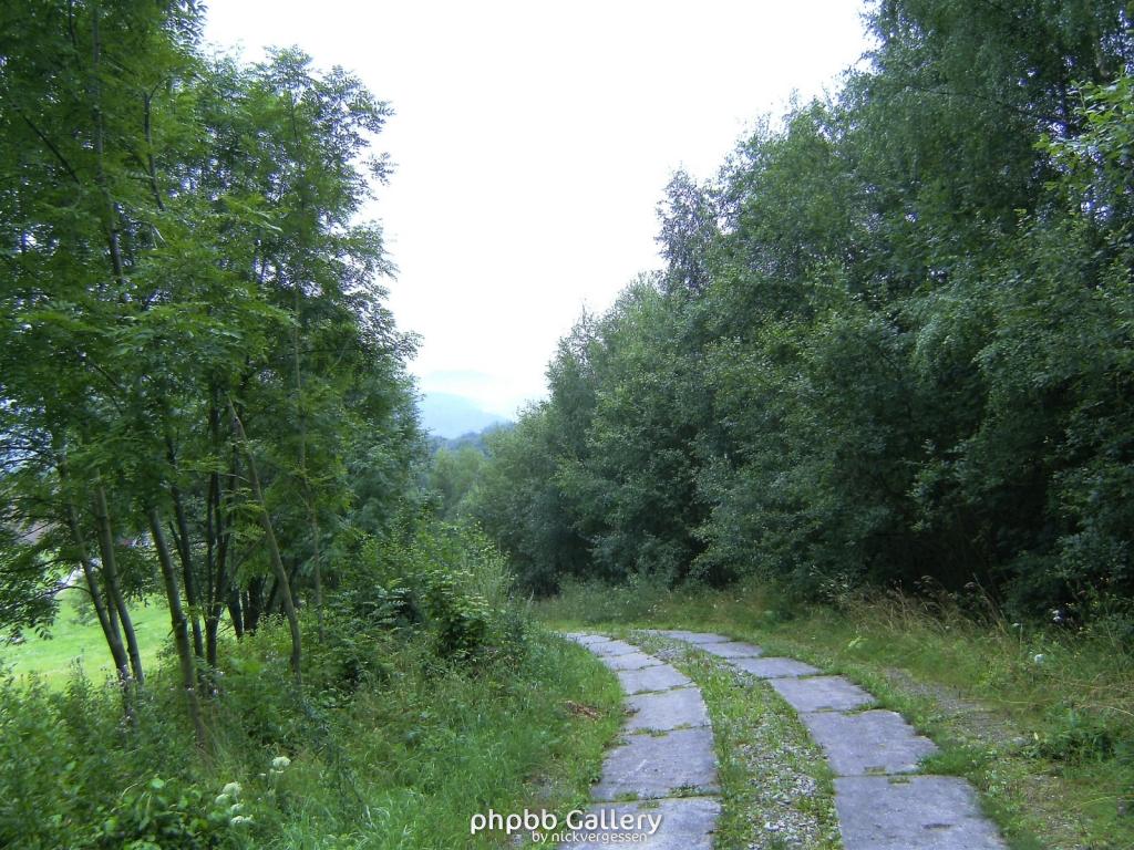 Kella Hitzelrode 11  090809