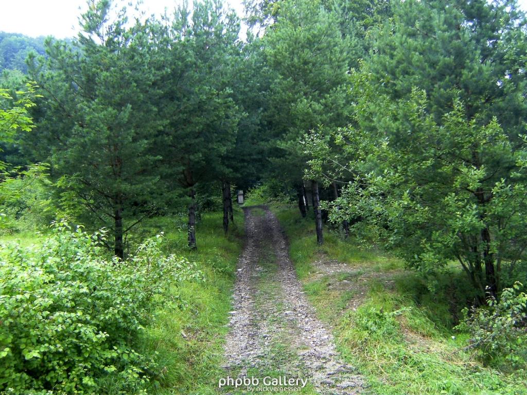 Kella Hitzelrode 36  090809
