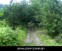 Kella Hitzelrode 36  090809