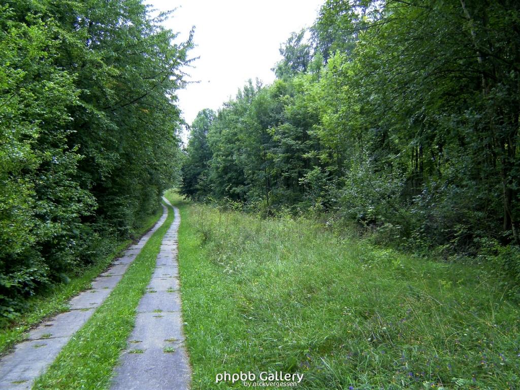 Kella Hitzelrode 39  090809