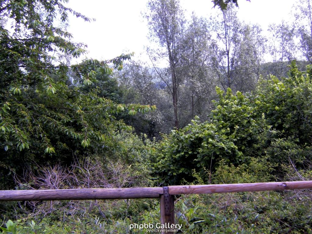 Lindewerra 04 210609
