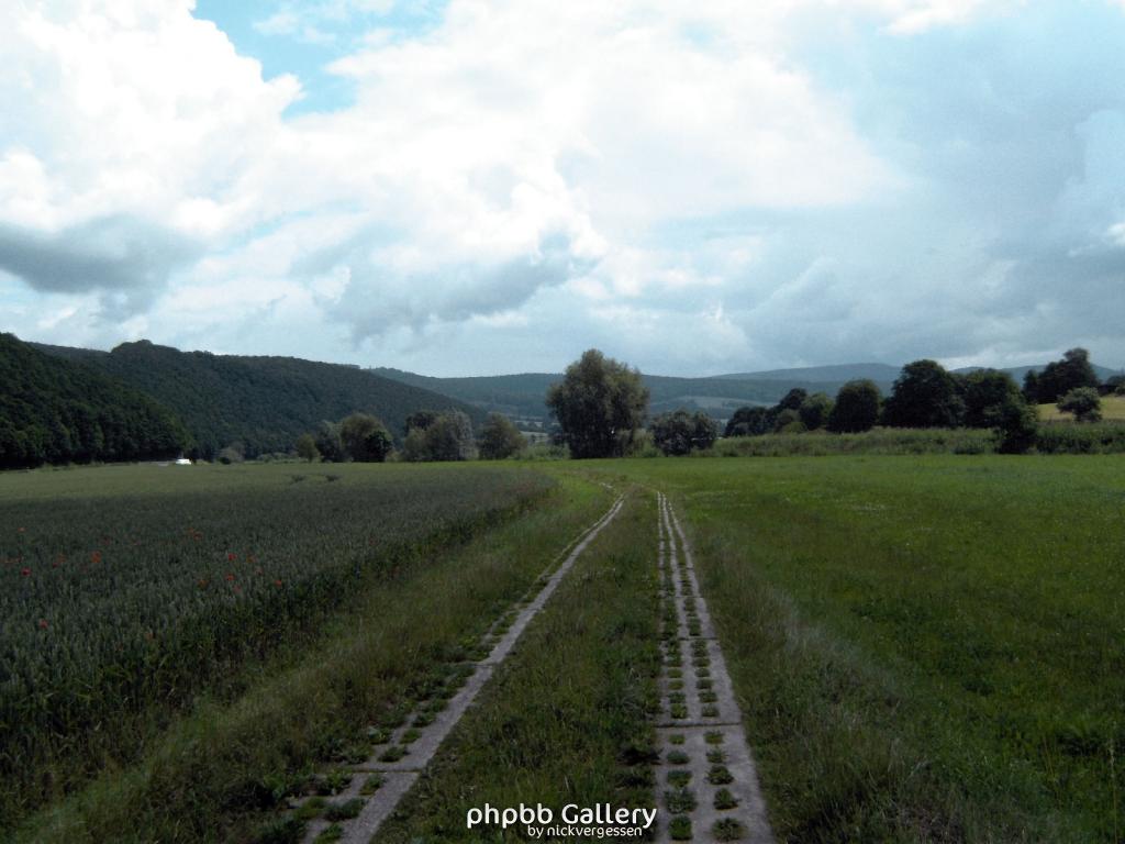 Lindewerra 13 210609