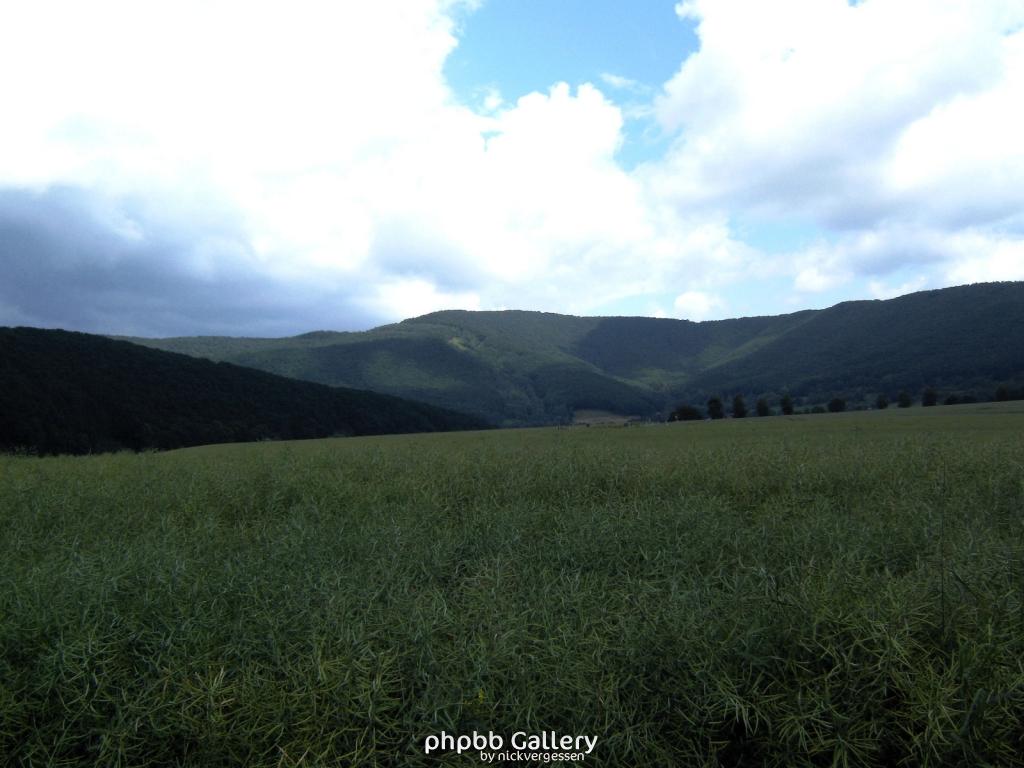 Lindewerra 14 210609