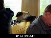 12.6.10 Forumtreffen  im Harz (21)