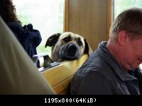 12.6.10 Forumtreffen  im Harz (22)