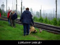 12.6.10 Forumtreffen  im Harz (54)